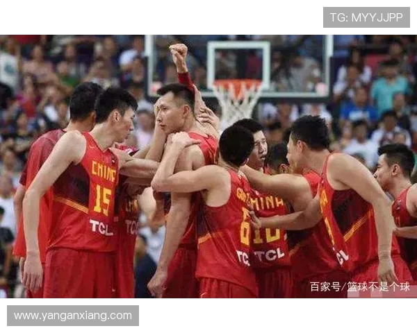 武汉排球队运营分析:成功经验与失误教训的深度剖析