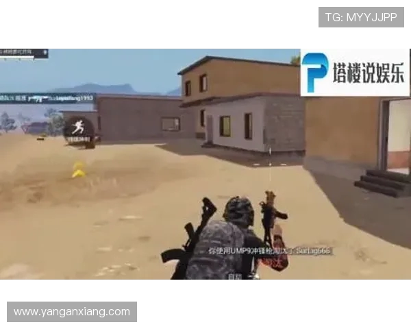 和平精英战术分析：深入解读IG战队的防反策略与执行细节